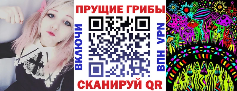 хочу   Невельск  Галлюциногенные грибы Cubensis 