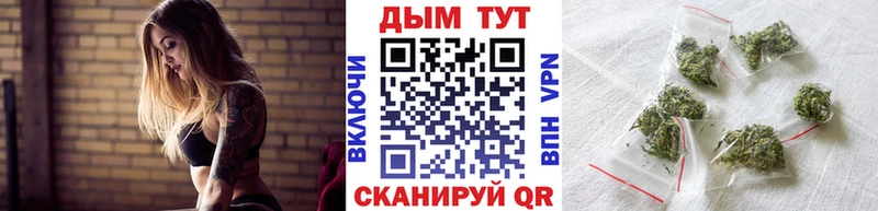Марихуана план  Невельск 
